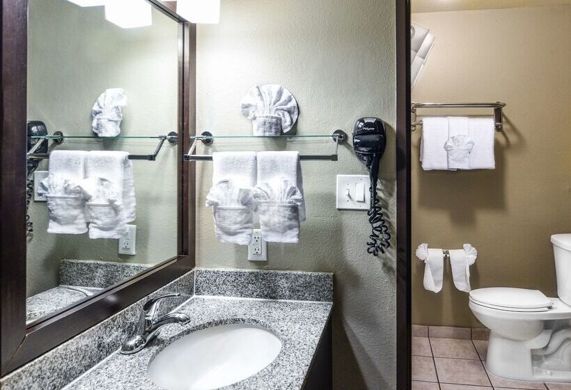 Fotos del hotel Best Western Mccarran Inn:  29