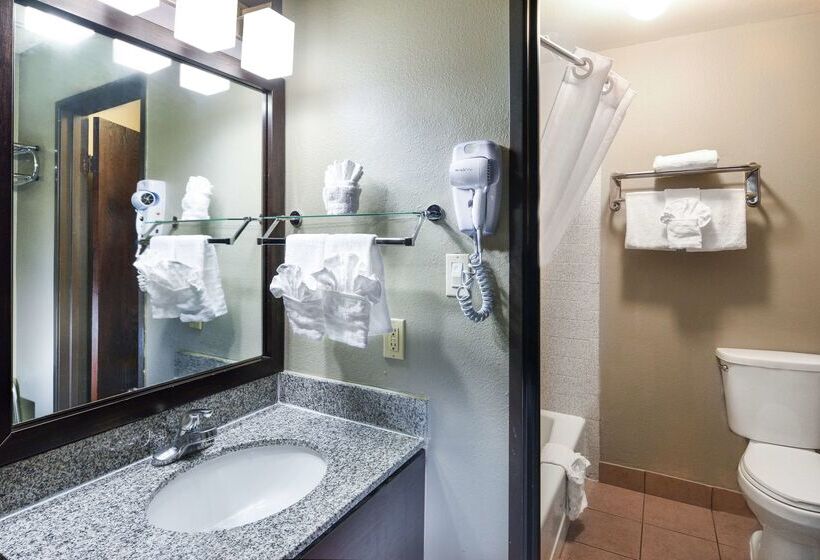 Fotos del hotel Best Western Mccarran Inn:  28
