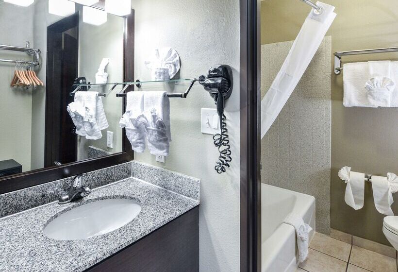Fotos del hotel Best Western Mccarran Inn:  19