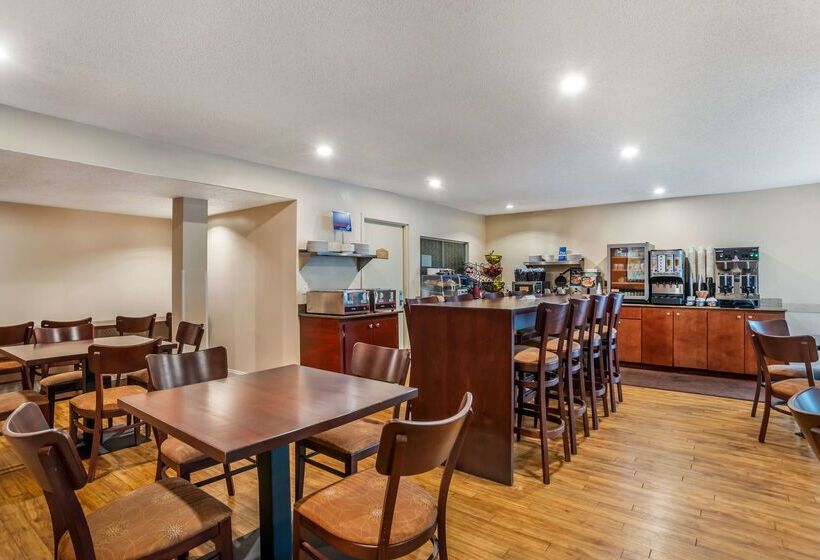 酒店 Best Western Oak Manor