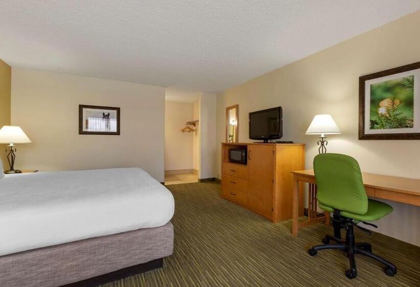 ホテル Best Western Paint Pony Lodge