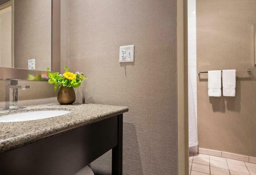 호텔 Best Western Plus Boulder Inn