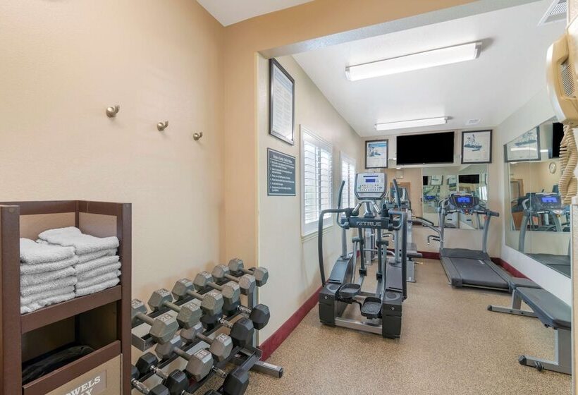 בית מלון כפרי Best Western Plus Denton Inn & Suites