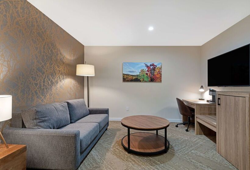 هتل Best Western Plus Inn At The Vines