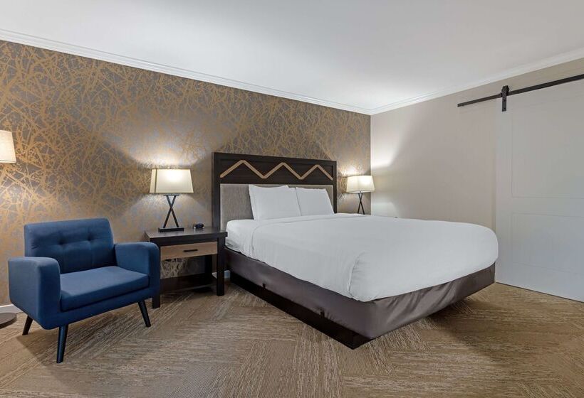 هتل Best Western Plus Inn At The Vines