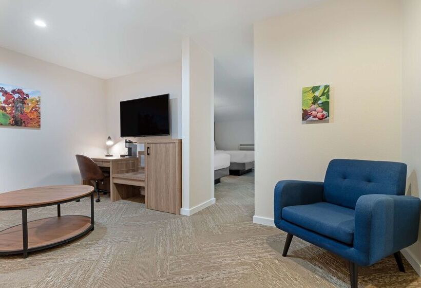 هتل Best Western Plus Inn At The Vines