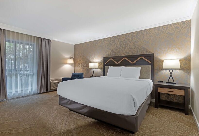 هتل Best Western Plus Inn At The Vines