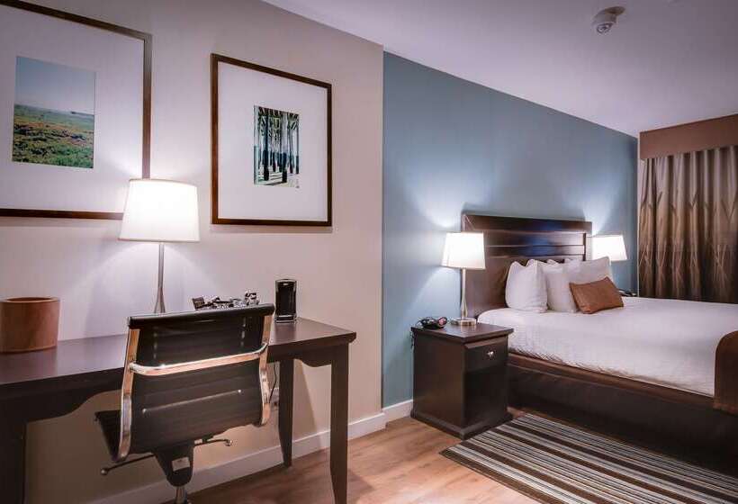 هتل Best Western At Ventura Pier