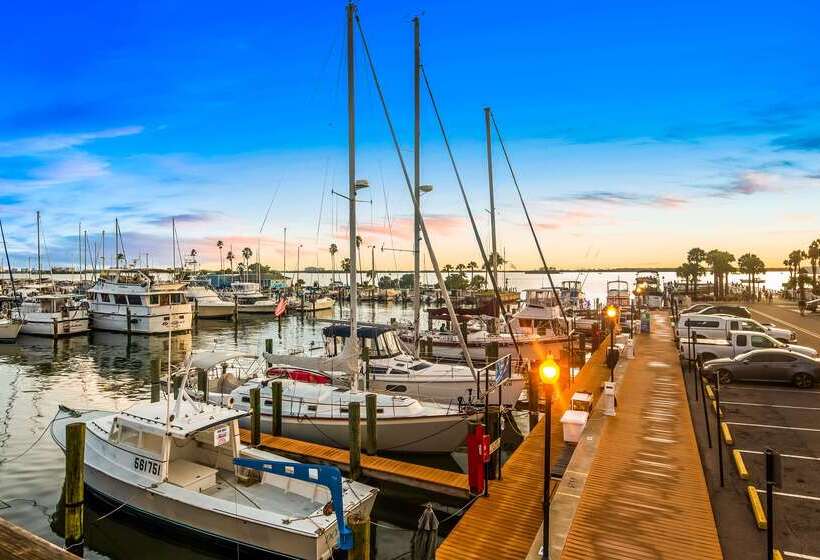 Отель Best Western Plus Yacht Harbor Inn