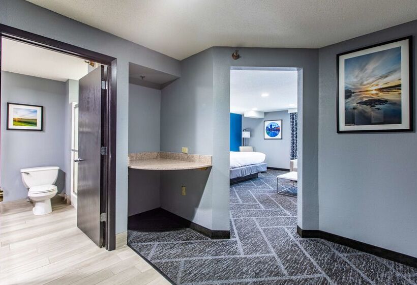 Best Western Rochester Hotel Mayo Clinic Area/ St. Mary S