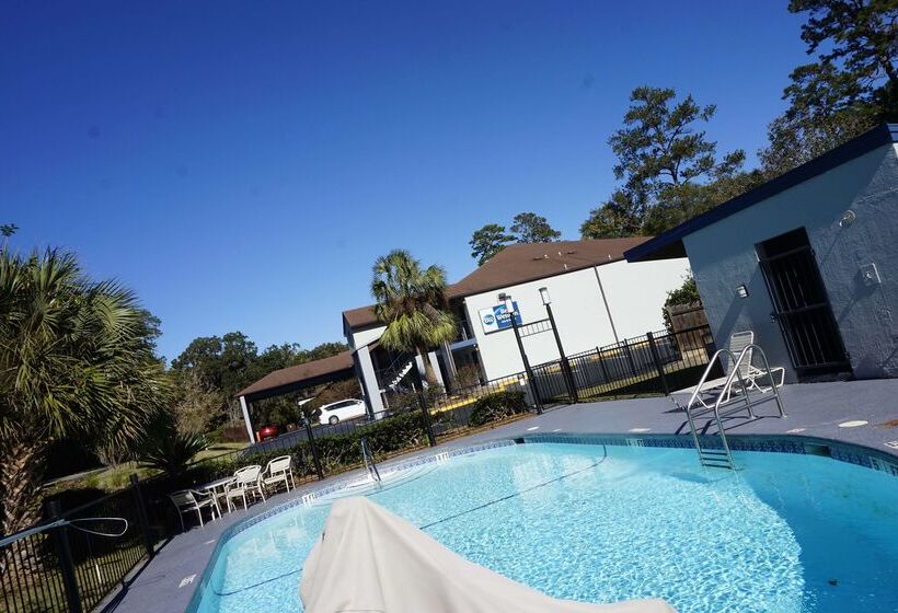 酒店 Best Western Tallahasseedowntown Inn And Suites