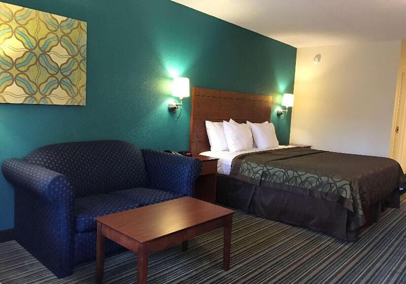 酒店 Best Western Tallahasseedowntown Inn And Suites