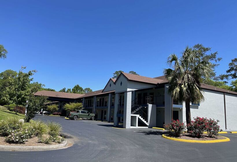 酒店 Best Western Tallahasseedowntown Inn And Suites