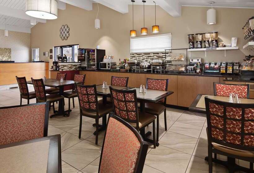 酒店 Best Western Winchester