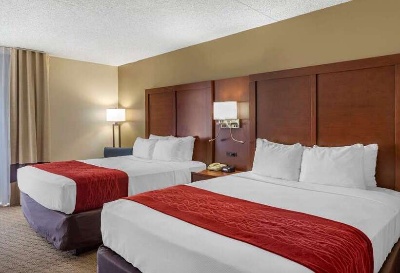 酒店 Comfort Inn & Suites Rochelle   Dekalb