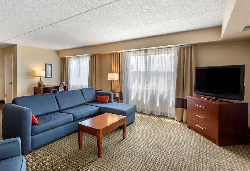 酒店 Comfort Inn & Suites Rochelle   Dekalb