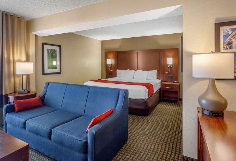 酒店 Comfort Inn & Suites Rochelle   Dekalb