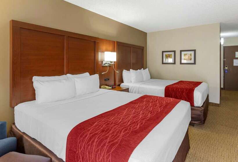 酒店 Comfort Inn & Suites Rochelle   Dekalb