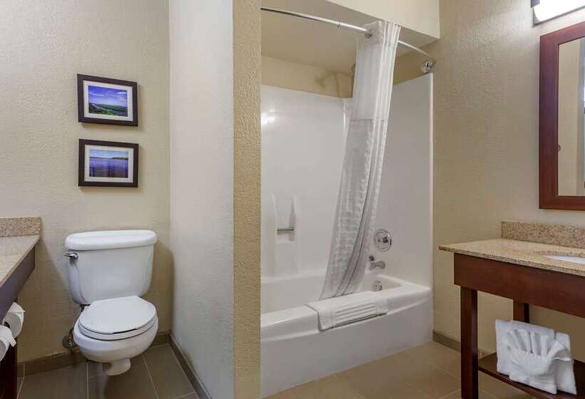 酒店 Comfort Inn & Suites Rochelle   Dekalb