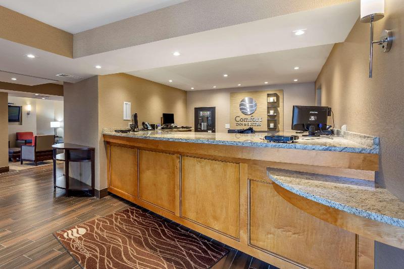 酒店 Comfort Inn & Suites Rochelle   Dekalb