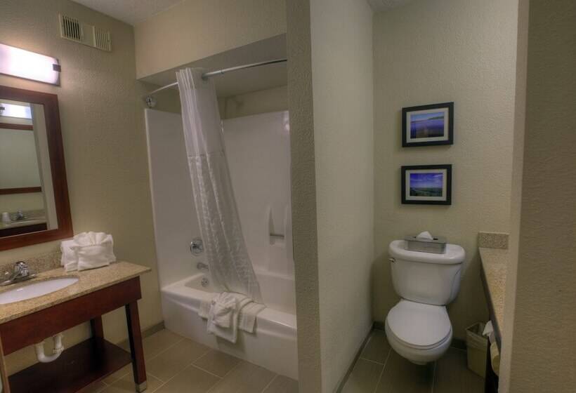 酒店 Comfort Inn & Suites Rochelle   Dekalb