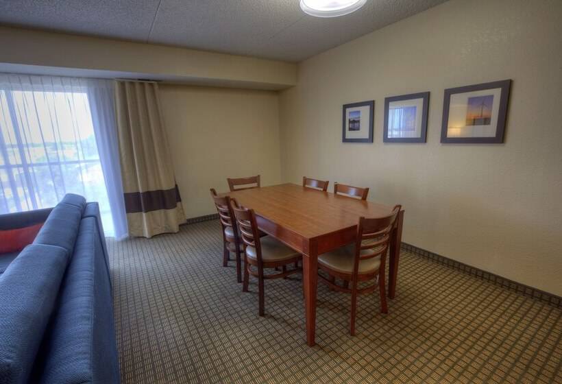 酒店 Comfort Inn & Suites Rochelle   Dekalb