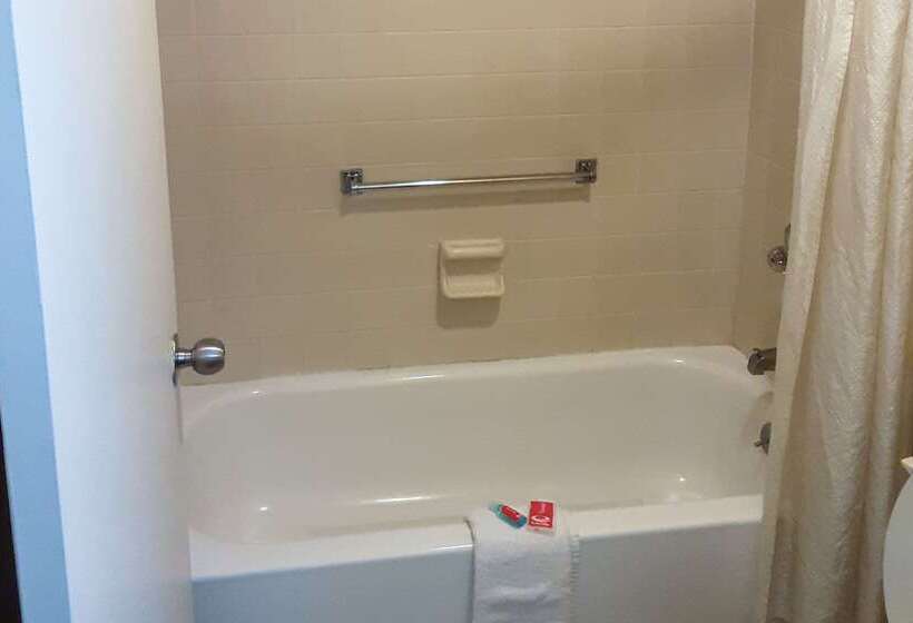 هتل Econo Lodge Inn & Suites
