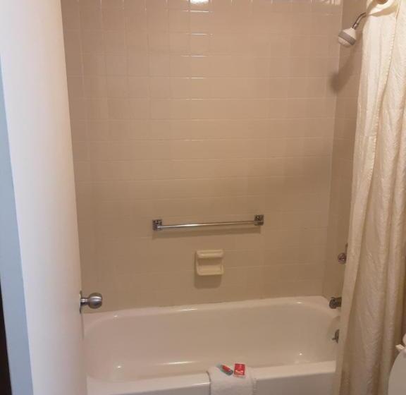 هتل Econo Lodge Inn & Suites