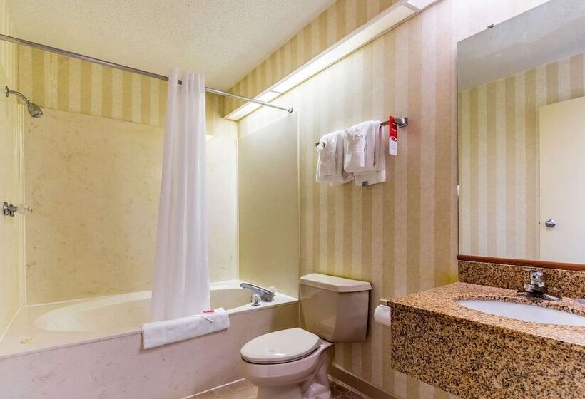 酒店 Econo Lodge Whiteville
