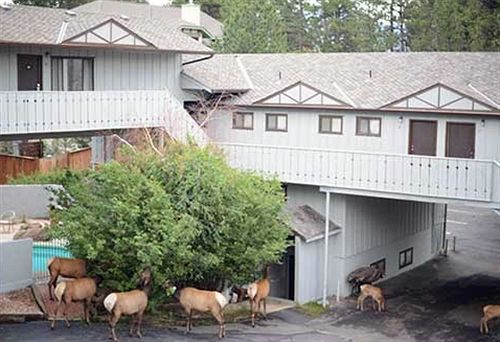 Hotel Trailborn Rocky Mountains Outpost