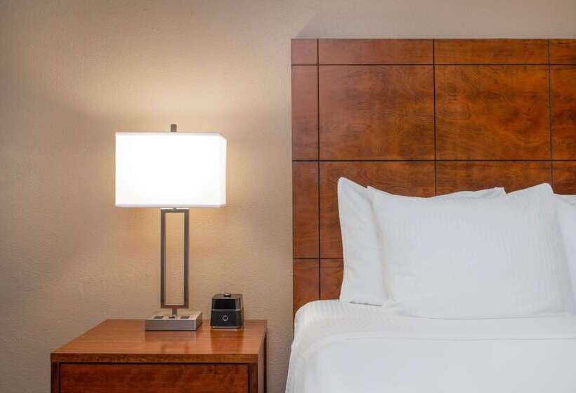 هتل La Quinta By Wyndham Clearwater Central