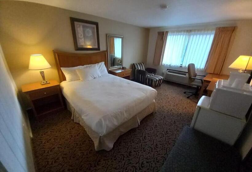 فندق Lupine Inn