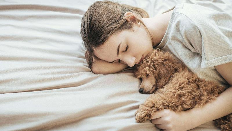 Magnuson Hotel Fowlerville