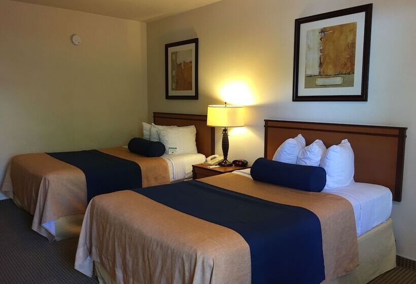 Hotel Mikado