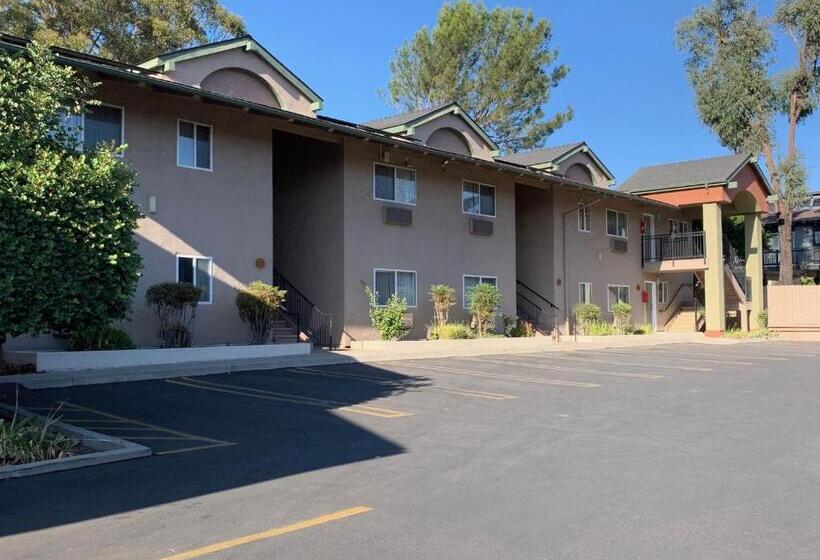 فندق Olive Tree Inn & Suites
