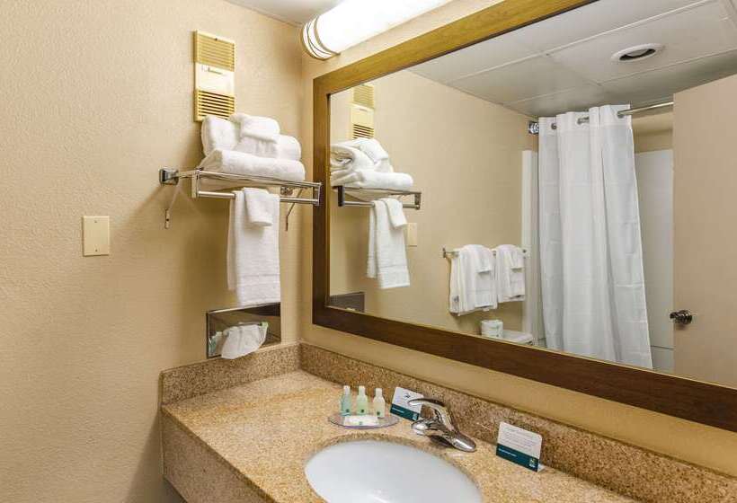 酒店 Quality Inn Radfordwest Blacksburg I81