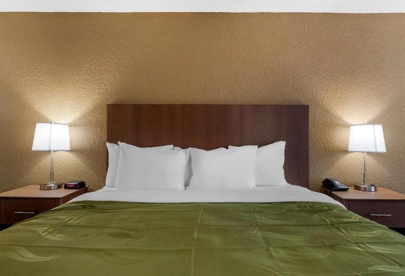 ホテル Quality Inn Saint Petersburg Northtampa Bay