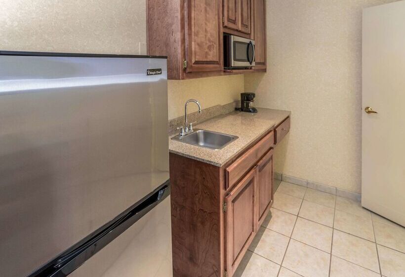 酒店 Quality Inn & Suites Downtown