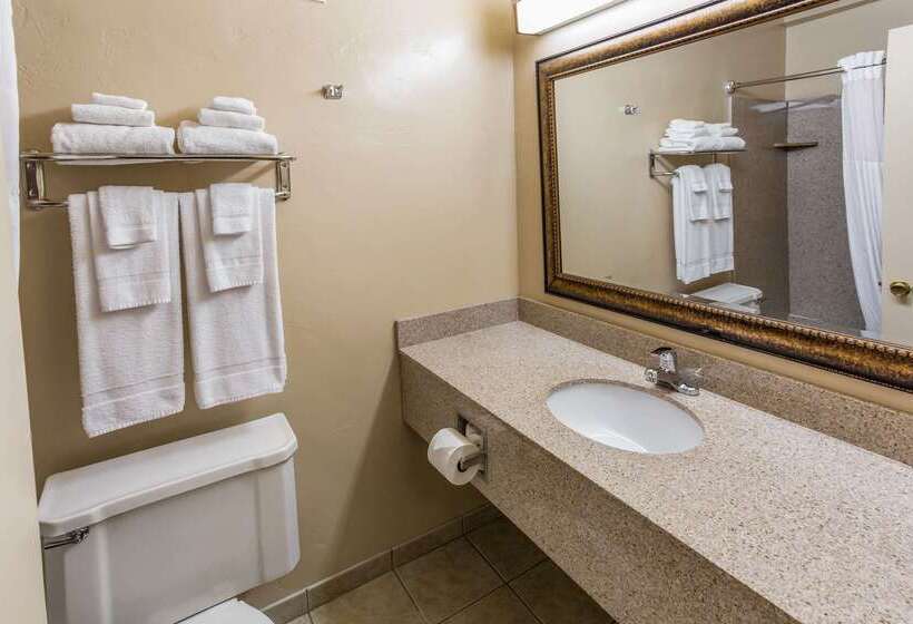酒店 Quality Inn & Suites Downtown