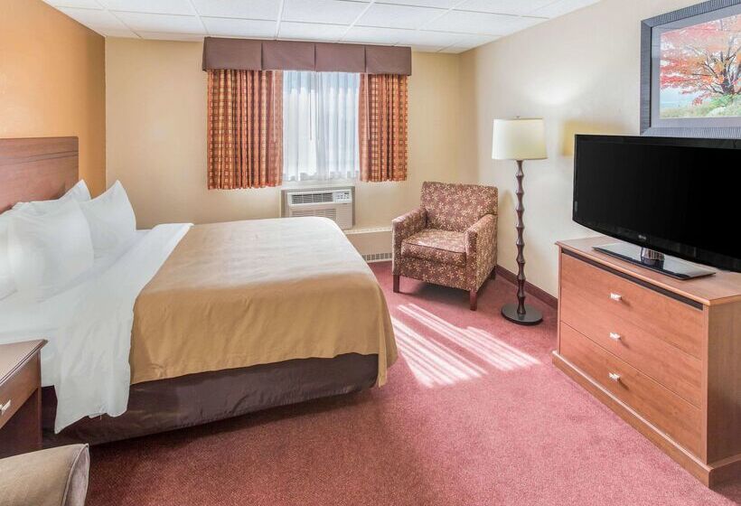 酒店 Quality Inn & Suites Downtown