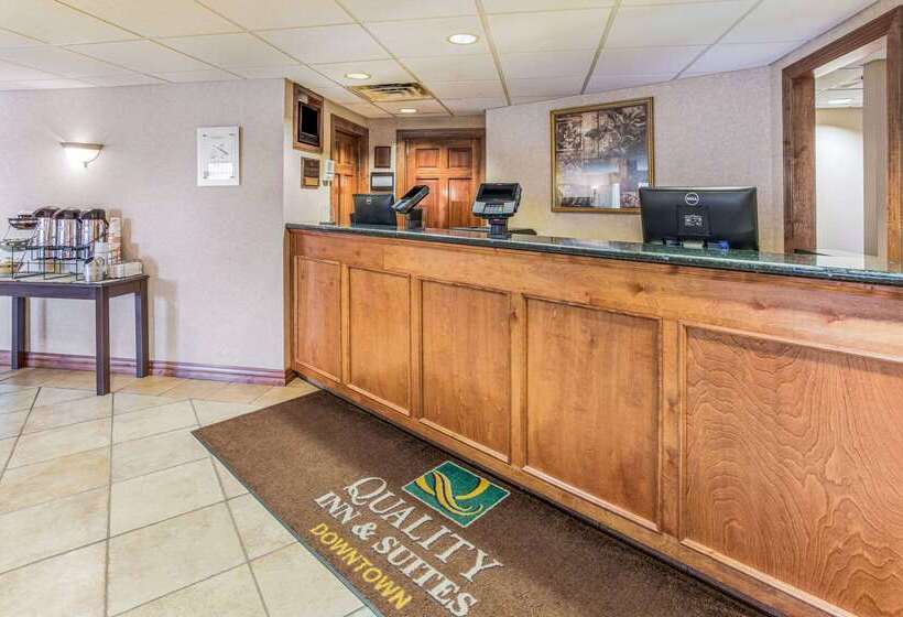 酒店 Quality Inn & Suites Downtown
