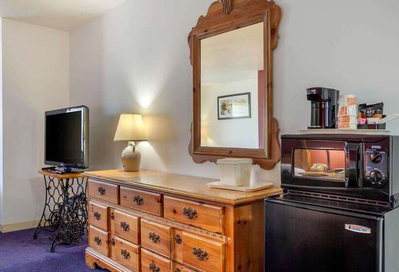 酒店 Quality Inn & Suites