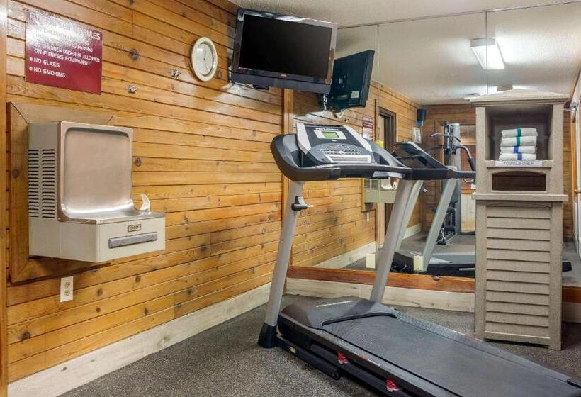 酒店 Quality Inn & Suites