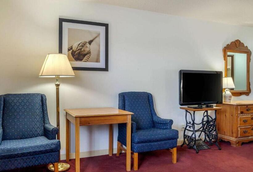 酒店 Quality Inn & Suites