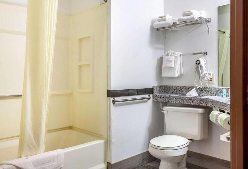 酒店 Quality Inn & Suites