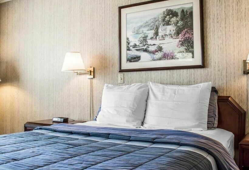 فندق Rodeway Inn Marshall Manor