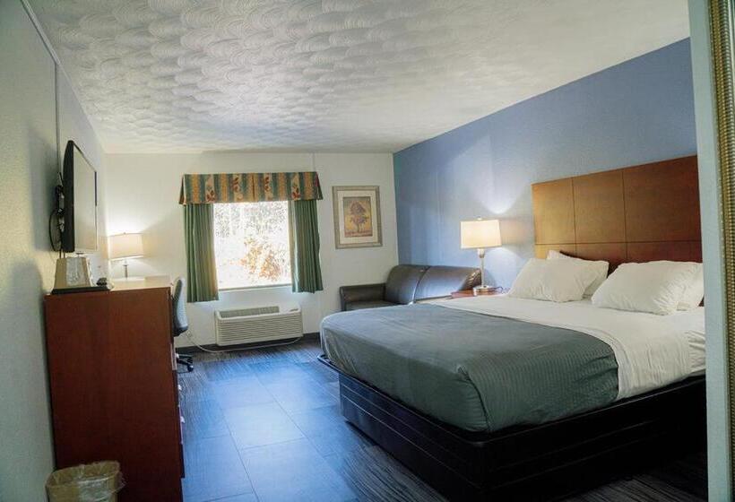 هتل Royal Inn & Suites