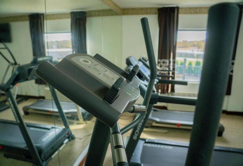 هتل Royal Inn & Suites