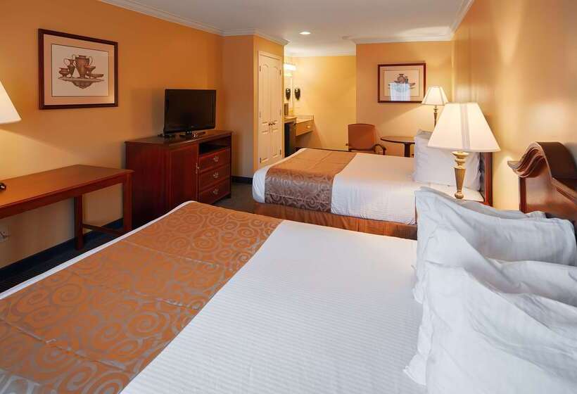 فندق على الطريق Best Western Forest Inn