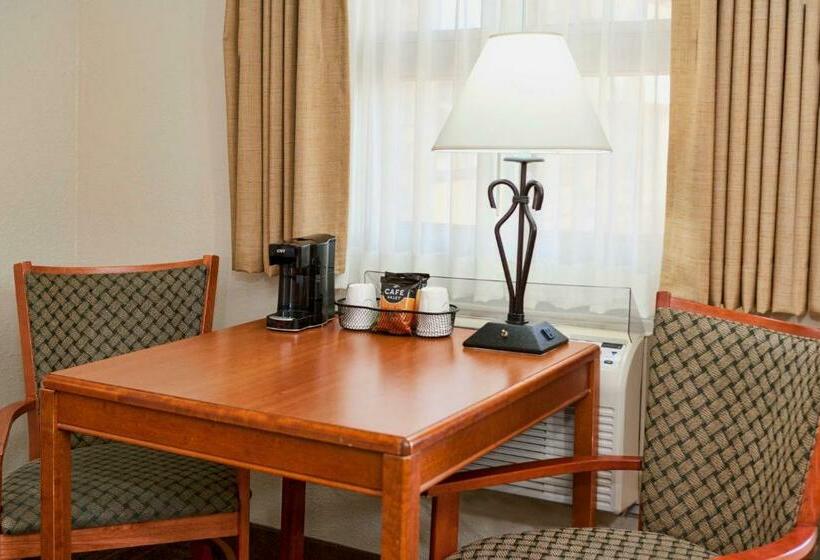 مُتل The Downtown Duluth Inn